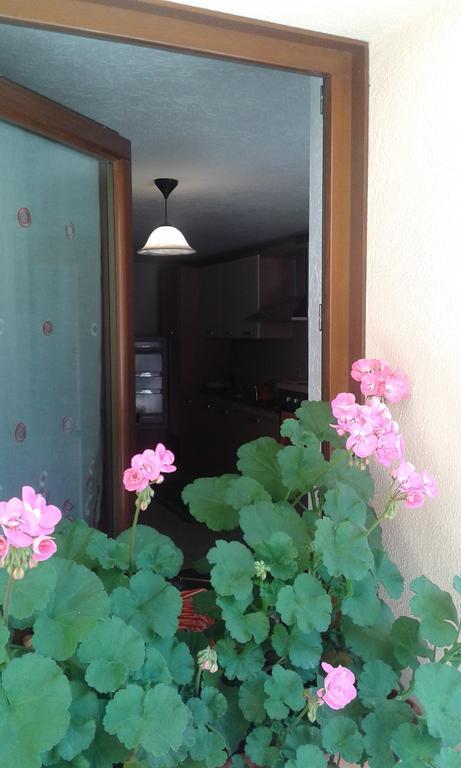 Apartment La Tour *